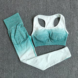 Yoga Set Sport Wear Women Gym Workout