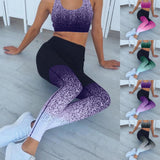 Elasticity Leggings Yoga Sportwear